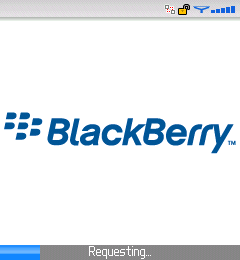 BlackBerry Screen Shot